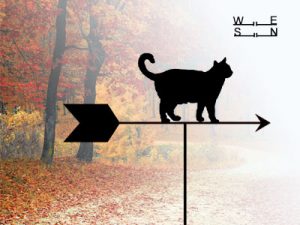 weather vane cat Outdoor Signs